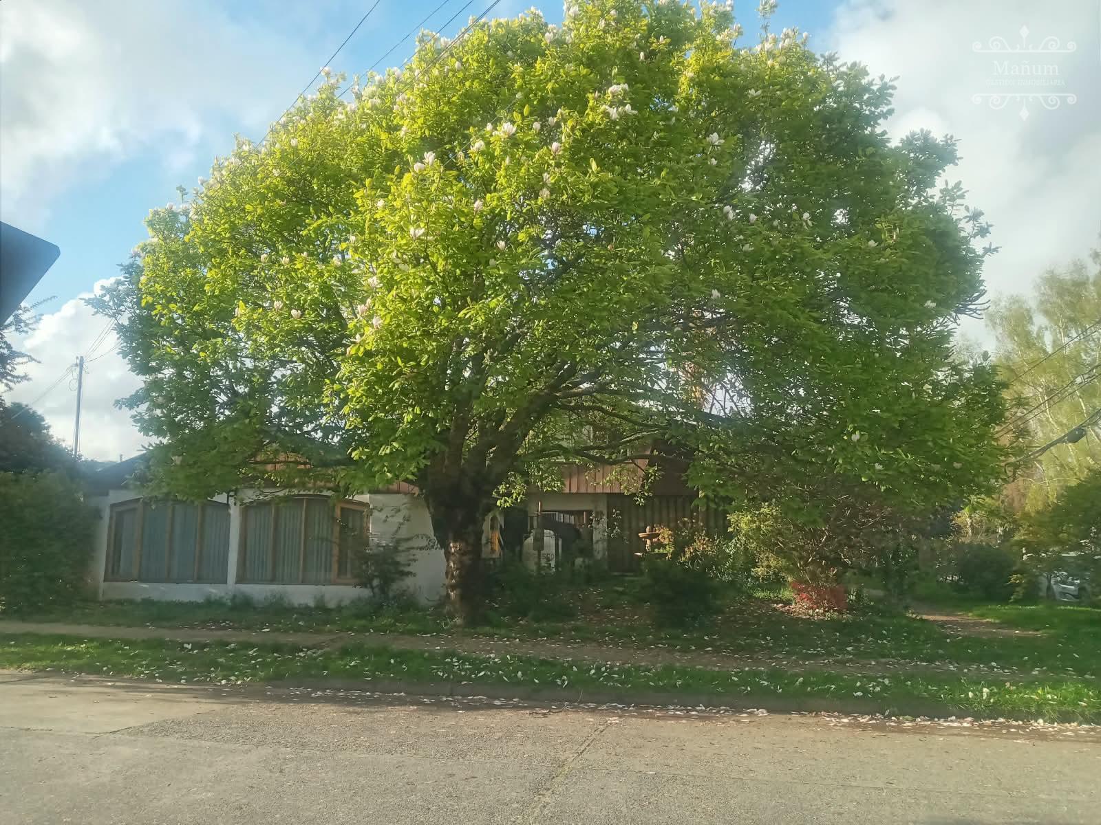 ARRIENDO COMERCIAL CASA ESQUINA EN ISLA TEJA